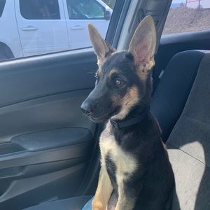 Meet your Posher, Maria